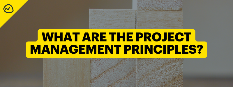 What Are The Project Management Principles (and What Software Should I Use for Project Management)?