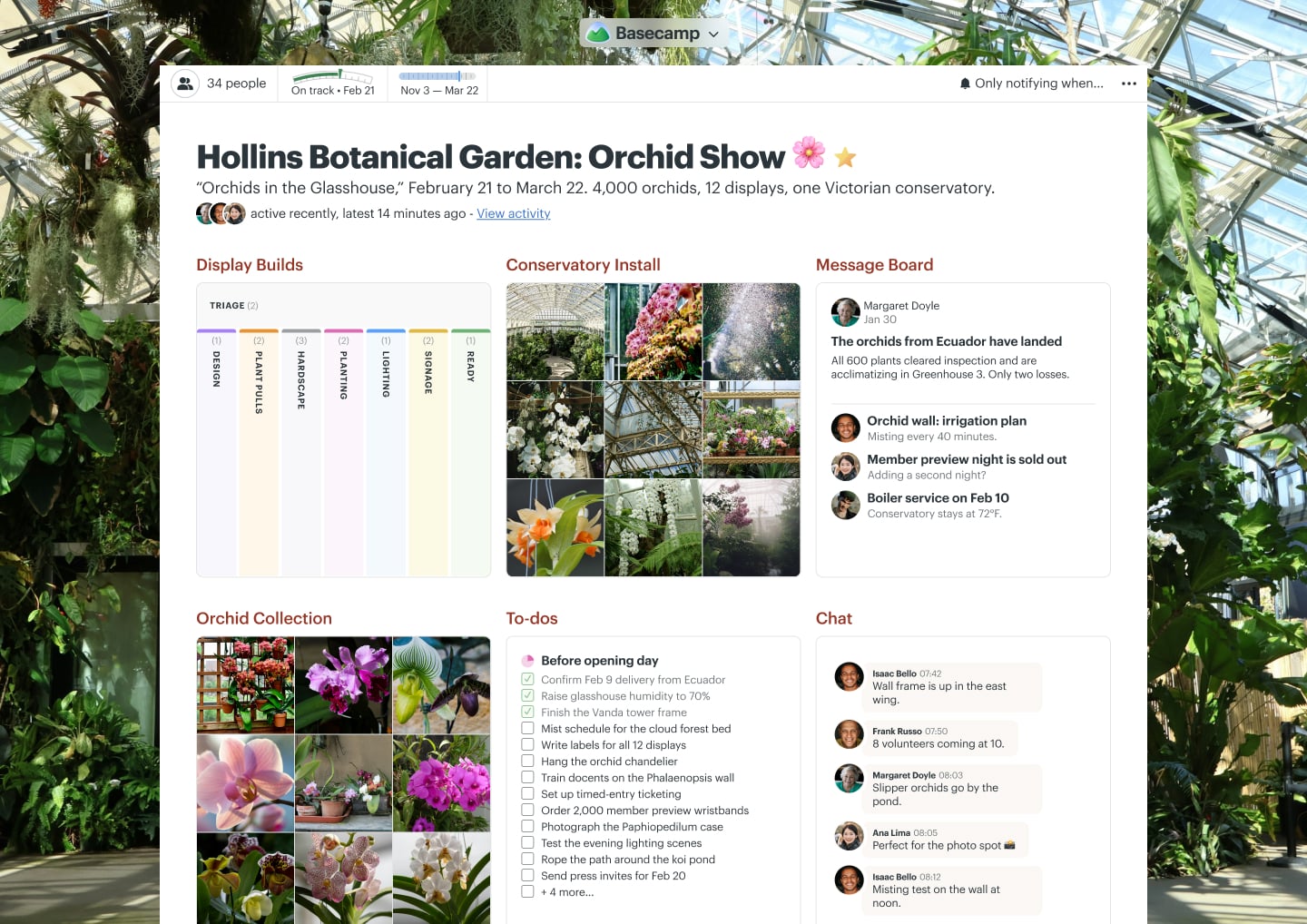 An orchid show project in Basecamp with a Message Board, Docs & Files, Chat, and Automatic Check-ins